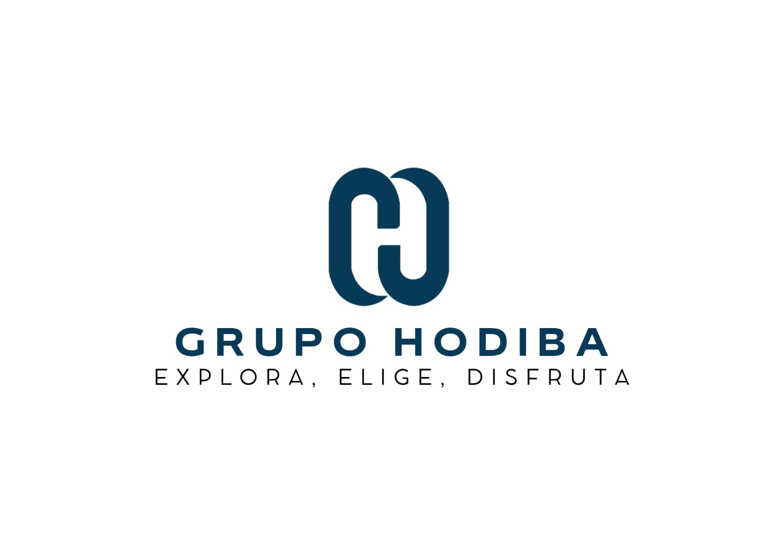 Grupo Hodiba